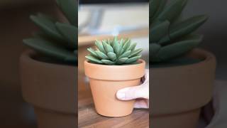 Turning a succulent into Push Pins