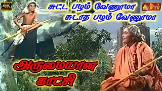 Sutta Pazham Sudatha Pazham Super Scene #JJTV_Pollachi