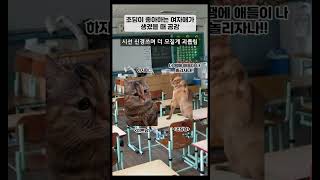 초딩이 좋아하는 여자애가 생겼을 때 공감 #shorts #공감 #초등학생