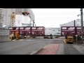 jr 東海道線【no.214】愛染踏切・貨物列車 ef210 132 桃太郎・ef66 126 通過・走行映像　静岡県静岡市清水区