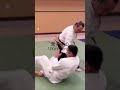 wow 合氣 最小の入身投げ minimal iriminage 正面打ち入身投げ shomenuchi iriminage 合氣 aikido