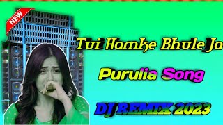 Tui Hamke Bhule Ja Purulia 🆕 DJ Song Remix 2023 DJ RONIK MIX