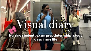 Visual Diary of a nursing student in Finland,6weeks internship/training,exam prep and lessons