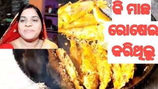 ଆଜି ଆମର କି ମାଛ ଆସିଥିଲା?😇😇Ashok jayashree vlogs