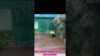 அம்மன் தாயே என் காதலியோட சேர்த்து வை தாயே #animals #funny #cat #dog #doglover #funnyvideo #puppy