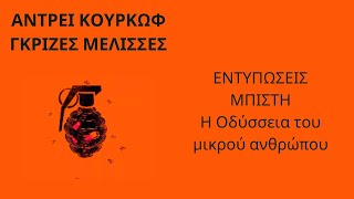 8 ΛΕΣΧΗ ΒΙΒΛΙΟΥ: ΓΚΡΙΖΕΣ ΜΕΛΙΣΣΕΣ. Η ΤΟΠΟΘΕΤΗΣΗ ΤΗΣ ΚΑΤΕΡΙΝΑΣ   ΜΠΙΣΤΗ