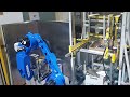 MELSS - Robotic Carton Pick and Place