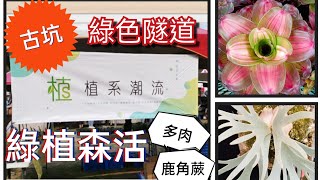 (逛肉買肉)雲林古坑x綠植森活x綠色隧道x植系潮流x2023.04.08~09各處園區前來盛大擺攤舉行x多多上社群支持辛苦的他們#多肉 #鹿角蕨 #龍舌蘭 #塊根 #景天 #植系潮流 #積水鳳梨