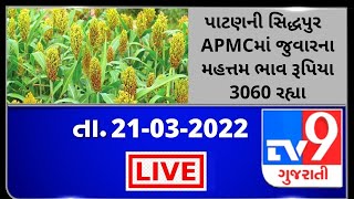 Mandi: પાટણની સિદ્ધપુર  APMCમાં જુવારના મહત્તમ ભાવ રૂપિયા 3060 રહ્યા | Tv9News