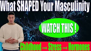 How Childhood Shapes You | Stress Rewires Masculinity | The Hidden Hormonal Personality Blueprint