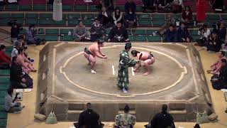 幕下優勝争い−勝った方が幕下優勝／若隆景-栃清龍/2018.1.26(28)/wakatakakage-tochiseiryu^/day13 #sumo