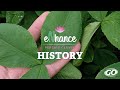 eNhance Persian Clover | History of Persian Clover