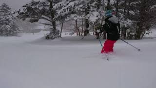 スキー教室、小学生班はパウダースノーを満喫する