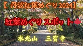 【丹波紅葉めぐり🍁2024】本光山三寳寺さん😊ライトアップもあるよ♬   #おすすめ #紅葉 #観光