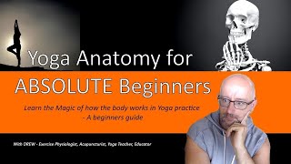 Yoga Anatomy for Absolute Beginners - learn the Magic of how the body works in Yoga Practice