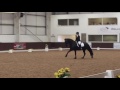 BRC Dressage to Music Championships 2016