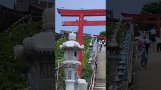 蕪島神社6 #shorts