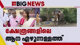 തൃപ്പൂണിത്തുറ വൃശ്ചികോത്സവത്തില്‍ ആനയില്ലാതെ ചിന്തിക്കാന്‍ കഴിയില്ല, കോടതി ദയവായി പുനപരിശോധിക്കണം