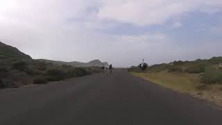 時速50km/h位のロードバイクが動物に全速力で追いかけられる動画がじわじわ来る