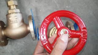 How to identify normal globe valve with SDNR valve?