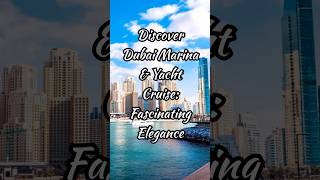 Dubai Marina \u0026 Yacht Cruise: Interesting Facts