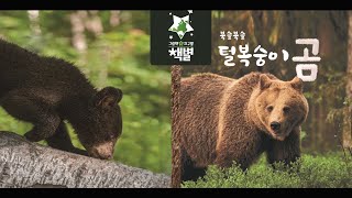 책별10호 코코 복슬복슬 털복숭이 곰