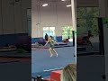 orlando metro gymnastics