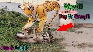 fake Tiger Prank Dog Go Wrong So Funny Try To Stop Laugh Challenge
