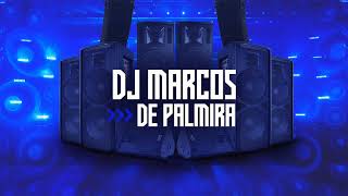 Sou Foda - Remix Dj Marcos De Palmira #arrochadeira #praparedão