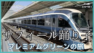 【鉄道vlog】念願の「サフィール踊り子」乗車！優雅なひとときと絶景をお伝えします！2022年3月　東京→伊豆急下田