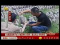 小城风物大石桥：大红袍李子个大味道甜，靠山吃山创收有招！