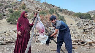 Nomads and hot bread: sheep butchery in the heart of Zagros mountains🏔️🐑