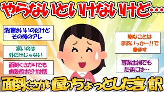 【ガルちゃんお掃除まとめ】やらなきゃいけないけどやりたくないもの　面倒くさがり屋のちょっとした言い訳