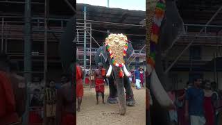 Vaikathashtami 2K23 #vaikathashtami #festival #vaikom #ulsavam #2k23 #2023