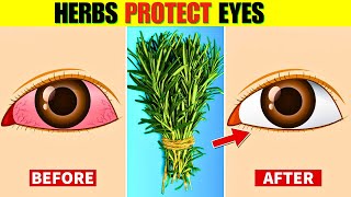 7 Herbs That Protect Eyes and Repair Vision