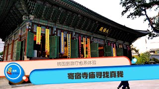 【韩国新鲜事】韩国旅游疗愈系体验　寄宿寺庙寻找真我