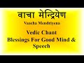 POWERFUL Vedic Chant for Good Speech | Ghana Patha | Vaacha Mendriyena | Yajur Veda | Sri K. Suresh