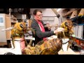 behind the scenes of weta workshop s bug lab with richard taylor