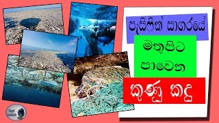 පැසිෆික් සාගරයේ මතුපිට පාවෙන කුණු කදු