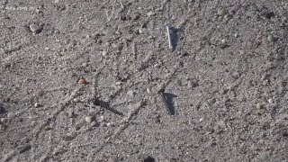 Kershaw County deputies arrest man they say put nails, screws on roads