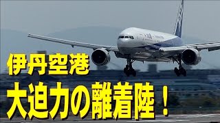 伊丹空港 -大迫力の離着陸！- 【BGV】