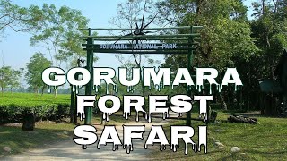 Gorumara National Park || Forest Safari || গোরুমারা জাতীয় উদ‍‍্যান