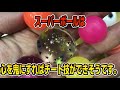 スーパーボールで卓球対決してみた。【卓球知恵袋】 table tennis