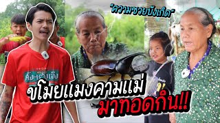 เลขาประธานหิว ตอน ขโมยเเมงคามเเม่ยายร่วมมาทอด! ความฮาจึงบังเกิด!! | บริษัทตั้งหวังเจ๊ง