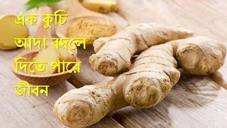 যেভাবে এক কুচি আদা বদলে দিতে পারে আপনার জীবন জেনেনিন