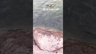 அப்படி என்னதான் இருக்கு ☔️#watch #this #video #