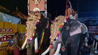 Pambadi Rajan taking thidambu @ Kunnampuram vela thalapoli 2022