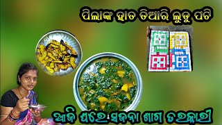 ଆଜି ଘରେ ସଜନା ଶାଗ ତରକାରୀ |ପିଲାଙ୍କ ହାତ ତିଆରି ଲୁଡୁ ପଟି |Odia Couple Vlogs | Sunil Sanjukta Vlogs