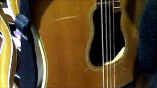 Takamine acoustic guitar review by guitar tech