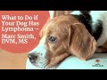 What to Do if Your Dog Has Lymphoma - Marc Smith, DVM, MS